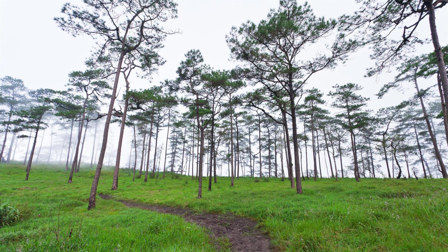 สถานที่ท่องเที่ยวอุตรดิตถ์ ที่พักอุตรดิตถ์ การเดินทาง แผนที่อุตรดิตถ์